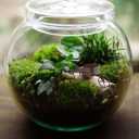 Model Miniature Wheelbarrow, 2pcs Wheelbarrow Miniature Gardening Box Dollhouse Barrows Simulation Cart Models for Action Figures Landscape Decoration