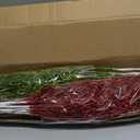 60 Pcs Christmas Tree Picks Decorations Red Green Glitter Curly Berry Stem Candy Picks Artificial Glittery Sticks Branches Twigs for Home Vase Wreath Xmas Tree Topper Filler Decor (12'',17'')