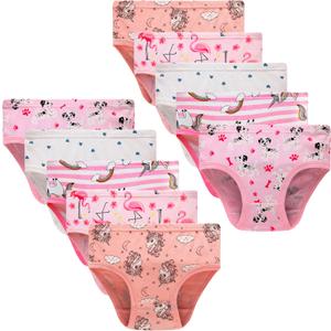 Winging Day Little Girls Assorted Prints Panties Size 3 (10-Pack)