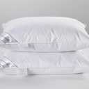 Natural Goose Down&Feather Pair Pillows Insert, Set of 2 Bedding Soft Pillows 100% Soft Cotton Queen 20x30in