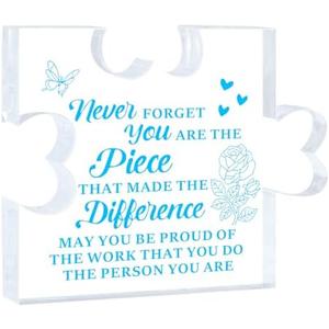Pack of 3 Appreciation Gifts for Mentor Nurses Teachers Doctors Employee Boss Family Friends Retirement Party Decorations for Coworkers Inspirational Acrylic Gifts for Women
