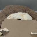 MEWOOFUN Removable Washable Cover Cat Bed - 26"x18.3"x8.5" Elevated Wooden Pet Sofa for Cats & Small to Medium Dogs, Modern Pet Furniture (Brown)