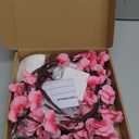 Cherry Enchanted Willow Vine Lights, 4FT 48LED Pink Cherry Blossom Tree Branch Lights for Wall, Remote Timer,8 Light Model,Bedroom Wall Doors Wedding, Christmas, USB Battery Box