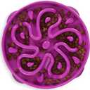 Outward Hound Fun Feeder Slo Bowl  Large 4Cup Capacity, Slow Feeding, Medium to Large Dogs, NonSlip, Purple, Flower Pattern