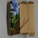 mizii 6Pcs Blue Fake Silk Pompon Mum Artificial Flowers Bulk Small Faux Chrysanthemums with Stems Realistic Floral Decorations for Wedding DIY Bouquet Centerpieces Shower Vase Home Decor (Light Blue)