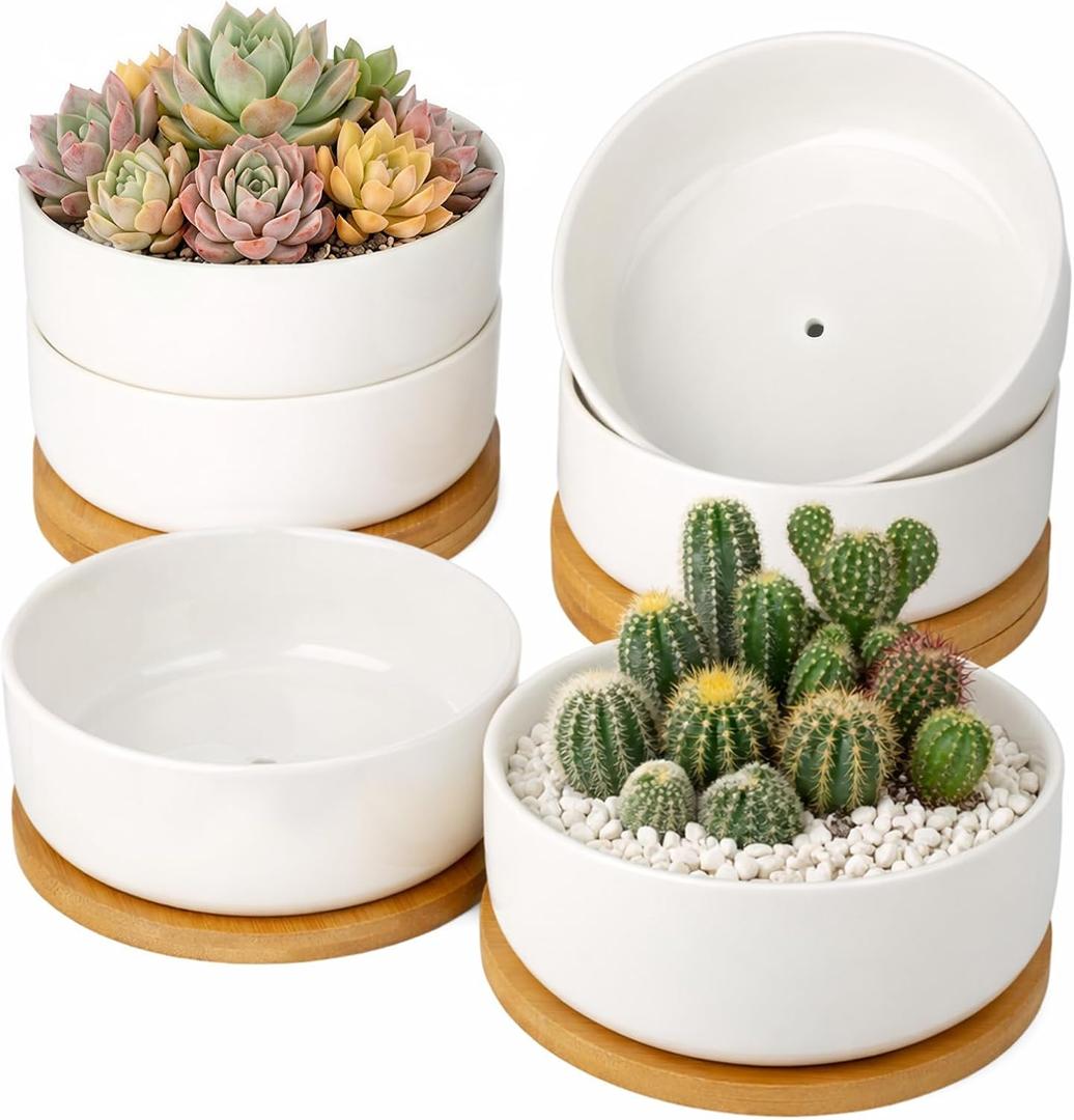 ZOUTOG Succulent Pots,6 Inch Succulent Planters with Drainage and Tray,White Ceramic Planters for Indoor Plants,Round Shallow Flower Plant Pots,Pack of 6, Size: 2.28 Inch High