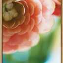 Kate and Laurel Sylvie Light Side Framed Canvas Wall Art by Alicia Bock; 18x24 Natural; Close-Up Flower Photography Art for Wall