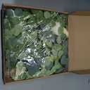 Yastouay 6.4 Ft Fuller Flower Garland with Light Butterfly, Artificial Eucalyptus Garland with Champagne Flowers Fake Rose Camellia Vine for Table Centerpiece Wedding Arch Room Decor