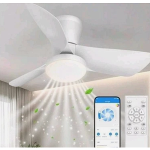 Ceiling Fans Lights with APP & Remote Control: 30 Inch Low Profile Ceiling Fans with Lights Reversible Small Flush Mount Ceiling Fan 3 Colors Quiet 6 Speeds Ceiling Fan for Bedroom Livingroom Kitchen