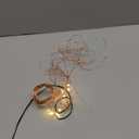 Lighting EVER Fairy Lights Plug in, 33ft 100 LED String Lights for Bedroom, Warm White Copper Wire Lights, Waterproof Indoor Outdoor Decorative Fairy Lights for Patio, Garden, Balcony, Vases, Craft