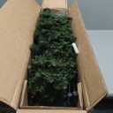 5Ft Tall Christmas Tree With Lights