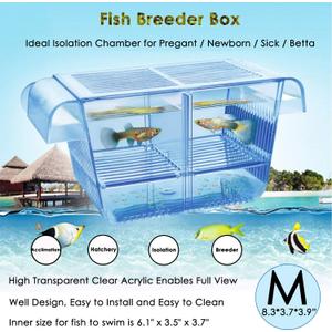 Cepetsma Fish Breeder Box - Hang-on Nursery Fish Tank With Breeding Hatchery, Perf for Aggressive & Injured Species (Medium)
