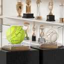 Baseball Case Display for Balls Walnut Wood Base Acrylic Baseball Display Case Baseball Holder Stand Cube Memorabilia Showcase Autograph Ball Protector for Official Size Ball Display