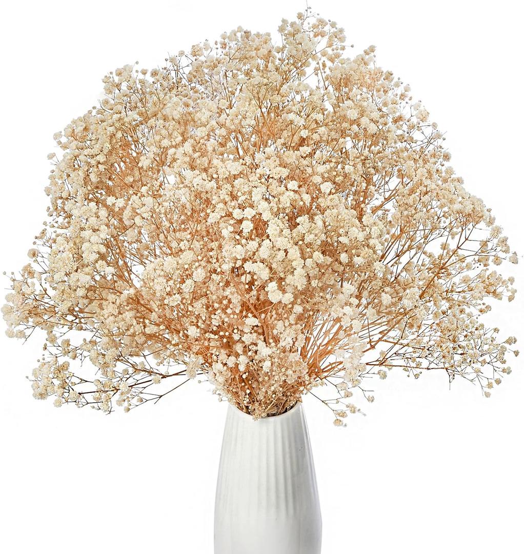Dried Baby's Breath Flowers Ivory White, 17inch Dried Natural Flowers Babys Breath Bulk with 3000 Buds, Real Dry Gypsophila for Wedding, Party, Wreath Floral DIY, Home Decor