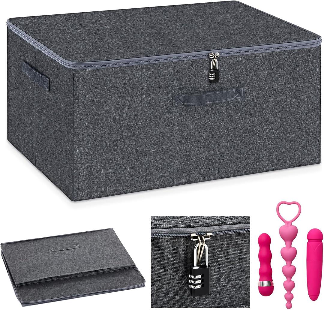 Briwooody Discreet Lockable Toy Bag Storage Organizer Toy Bag Storage Bins Case with Zipper Lid for Women and Men Clothes Container(Gray,19.3 x 14.6 x 11.8 Inch)