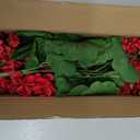 FOREST PRINCE 2 PCS 18" Artificial Geraniums for Outdoors, UV Resistant Red Silk Flowers for Window Box Porch Patio Garden Decor, Waterproof Ruby Red