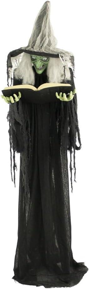 Haunted Hill Farm Life-Size Talking Witch Holding Spell Book, Halloween Animatronic with Touch Activated Lights and Sound, Poseable, Battery Operated Indoor or Covered Outdoor Halloween Decorations, 69 Inches