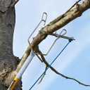 Jameson Rope Sniper - Precision Arborist Tool for Effortless Rope Placement