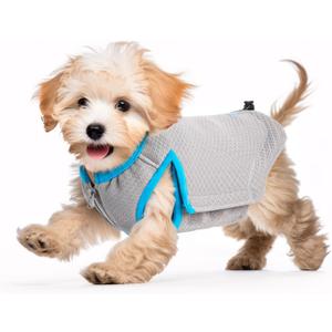 2 x ALL FOR PAWS Cooling Vest Dog Cooling Shirts Breathable Instant Cooling Dogs Vest Lightweight for Summer Dog Clothes (S)