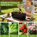 2 x Self Watering Pots for Indoor Plants 17 Inches Window Boxes Planters Rectangular Flower Pots Rectangle Herb Pots Large Plant Pots with Drainage Holes and Saucers Windowsill Planter (2, Black)