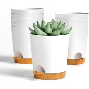 4 inch Small Plant Pots for Outdoor Indoor Plants, 10 Pack Planters with Drainage Holes and Tray, Small Self Watering Pots for Succulent,Cactus, Aloe and Other Plants. (White)