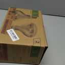 250R40/1 250-Watt, Incandescent R40 Reflector, Clear Head Lamp, Heat Flood Lamp Light Bulb, E26 Standard Medium Screw Base, 120V, 6,000 Hour Rated (Pack of 2-Clear-Heat Lamps)