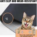 YCT Cat Pet Food Mat, Non-Slip Bottom Absorbent Quick Dry Feeding Mat for Dogs & Cats, Pet Supplies, 16.9"x24" Navy Blue