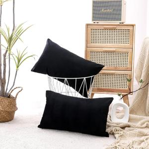 NiNi ALL Decorative Throw Pillow Covers Pack of 2 Velvet Throw Pillow Cases for Couch Sofa Bed Car Office Pillows Cover Bedroom Living Room Outdoor Black Pillow Covers 12x20 Inch
