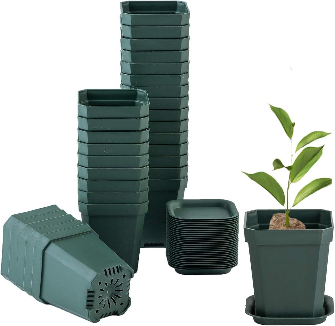 foxany 3" Plants Nursery Pot, 30 Pcs Thick Plastic Square Planting Pots, Plant Seedling Pots, Seed Starting Pots with 30 Saucers - Black-Green
