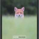 Poster Palooza 19x24 Frame Black Solid Wood Picture Frame | 0.75 Inch Moulding Width | Includes UV Acrylic Plexiglass, Foam Board Backing & Hanging Hardware