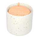 Foundry Candle Co. Cactus Blossom