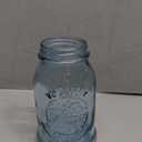 Perky-Pet 1 Mason Jar Wild Bird Waterer 783, Blue