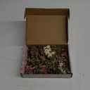 10 Pack Dried Flower Bouquets Mini Dried Flower with Stem Forget Me Not Dried Embossing Natural Flower Bundles Artificial Flower Dried Floral Arrangement for Vase DlY Wedding Decor 