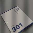 PATPET Dog Shock Collar for 2 Dogs - Dog Training Collar with Remote (Grey)