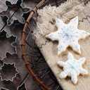 Snowflake Cookie Cutters Set of 10 pcs, Stainless Steel Snowflake Shaped Christmas Holiday Baking Molds for Fondant & DIY Crafts