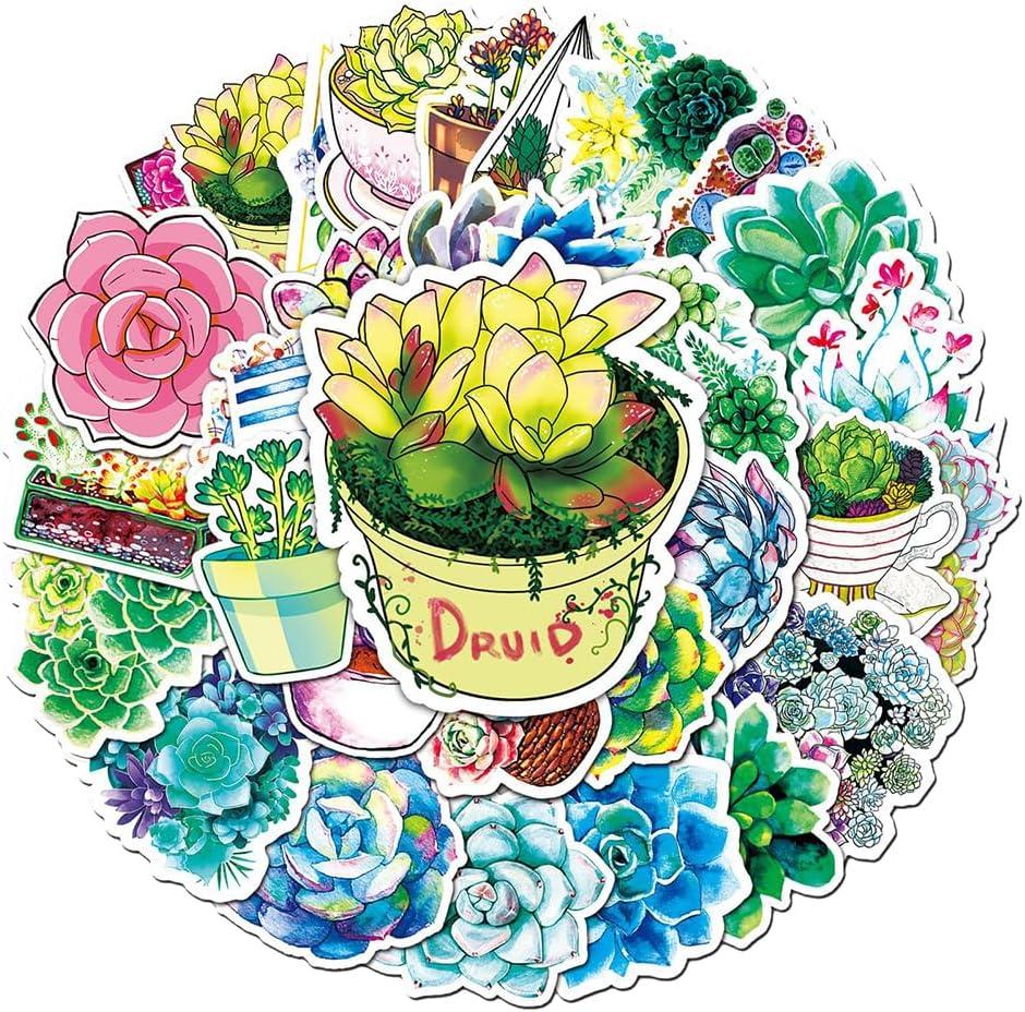 Succulent Plants Waterproof Stickers for Boys Girls Teens Kids, Popular Unique Vinyl Stickers for Laptop Flasks Luggage Water Bottle Cup Phone Tablet Notebook, Aesthetic Decals Pack[Succulent-50Pcs]