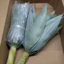 Velener Artificial Outdoor Blue Agave Plant - Small Size UV Resistant Fake Agave Plants for Indoor and Outdoor Decor(28 Inch)-2 Pack