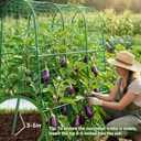 TOCCYARD Cucumber Trellis for Raised Bed, U-Shape Garden Trellis for Climbing Plants Outdoor, Metal Arch Trellis for Vegetables, Plant Support for Tomato, Pea, Zucchini, Squash