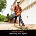 LawnMaster 3-in-1 Electric Leaf Blower, Vacuum & Mulcher, BV1210