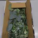Eucalyptus Leaves Stems 100 PCS, 4 Kinds Mixed Artificial Greenery Stems for Wedding Decor Vase Floral Arrangement Centerpiece