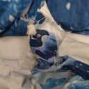 Erosebridal Blue Waves Sheet Set Ocean Sea Fitted Sheet Summer Theme Print Bedding Set Cozy Bed Cover Room Decorative Ultra Soft Bedclothes Twin Size 1 Fitted Sheet with 1 Pillow Case