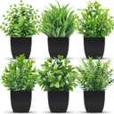 Der Rose 6 Pack Artificial Plants Small Potted Plants for Home, Office, Farm, Bathroom, Home Decor