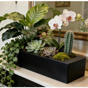 Sleek Oblong Faux Succulent Arrangement – Rectangular Weather-Resistant Planter – Indoor/Outdoor Decor, Low-Maintenance & Eye-Catching Greenery Accent Black