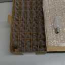 50PACK C9 Christmas Lights LED Replacement BulbsShatterproof & Waterproof Plastic C9 Led Bulbs for Outdoor String Lights, E17 Base, 0.6W Equivalent to 7W, Warm White 2700K, 50LM Holiday Decoration