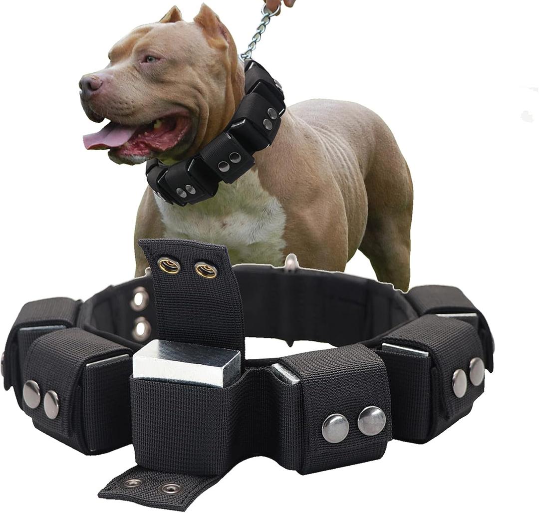 Tactical Weighted Dog Collar - Weights for Training & Exercise - Small, Medium, Large Dogs (1.5" Wide Neck Size 18"-22")