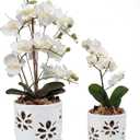 vensovo 5+6 Inch Orchid Pot with Holes and Saucer - White Ceramic Orchid Planter for Repotting, Flower Pot for Indoor/Outdoor Plants (2 Packs)
