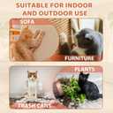 Tetra Cat Deterrent Spray, Natural No Scratch Spray for Cats Keep Off Cats and Kittens Scratching Furniture, Sofas, Rugs, Curtains, Plants, Safe & Effective, 100ml