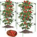 2 Pack Tomato Cages for Garden,Square Tomato Plant Cage Support Heavy Duty Pole 57*15.4*15.4 Inches,Steel Plant Tower Stakes,Cherry Tomato Trellis Cucumber for Climbing Vegetables Flowers Fruits-Green