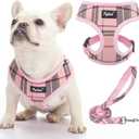 PUPTECK Soft Mesh Dog Harness and Leash Set Pet Puppy Cat Comfort Padded Vest No Pull Harnesses, Light Pink, L (L (NECK: 17", CHEST: 18.8"-24"))