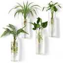 Mkono Propagation Station Wall Planter Hanging Glass Tubes Flower Vase for Hydroponics Plants, Bathroom, Home Office Living Room Decor Gift, Cylinder Set of 4(Plants not Included)